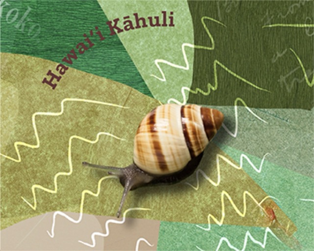 Hawaiʻi’s endemic kāhuli (snails)